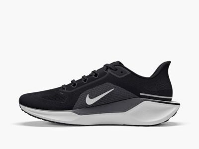 Zapatillas Nike Pegasus 41 W — análisis y precio